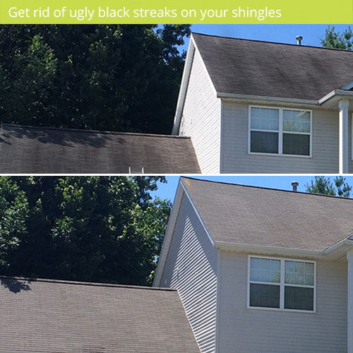 clean roof to remove ugly black streaks from roof shingles with soft wash